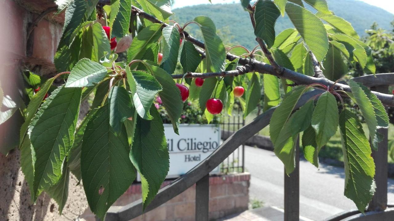 Guesthouse Il Ciliegio Sorbo Serpico Luaran gambar
